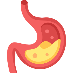 Stomach